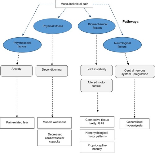 Figure 2 Potential pathways of chronic pain in GJH-related disorders.