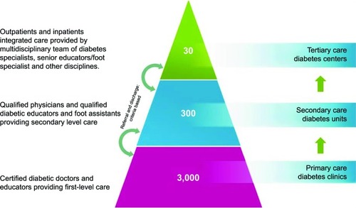 Figure 3 Service model for diabetes care.