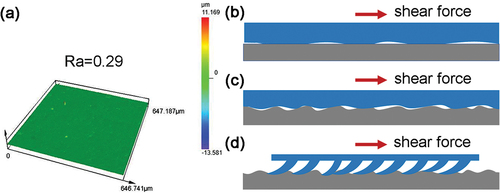 Figure 9. The adhesion on a rough substrate. (a) The roughness profile of the NRSRC flat surface; (b) Schematic of the adhesion between the NRSRC flat surface and a smooth substrate; (c) Schematic of a good match between the rough topologies of the NRSRC flat surface and the substrate with a roughness of 0.42; (d) Schematic of the adhesion between the microwedge elements and the rough substrate.