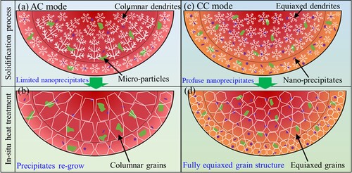 Figure 14. Schematic illustrations of the grain and precipitates evolution in the AC (a, b) and CC (c, d) components during solidification process and in-situ heat treatment.