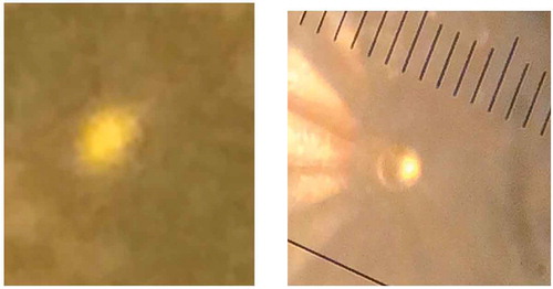 Figure 9. Smart-phone photos of hydrogen at high pressure, described in the text. The sample in the photo on the left is at room temperature. The photo on the right is zoomed out to show the reticule with line spacing of 14 microns