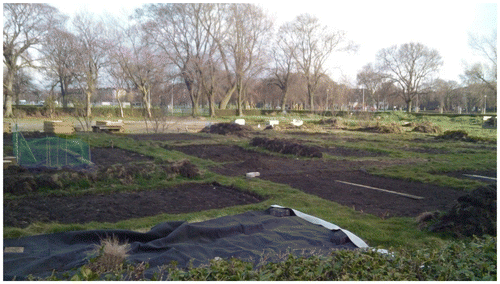 Figure 2. Leith Community Crops in Pots (The Leith Croft). Photo: author, 2015.