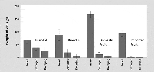 Figure 2. Aril grading in weight (g) of two minimally processed arils products (Brand A and Brand B) and fresh market fruit from domestic (California, United States of America) and imported (Chile) sources. Samples are ordered by the proportion of decaying to intact product, from highest (left) to lowest (right). Fruit and aril products were sourced from local markets in Riverside CA, the United States of America in winter of 2018