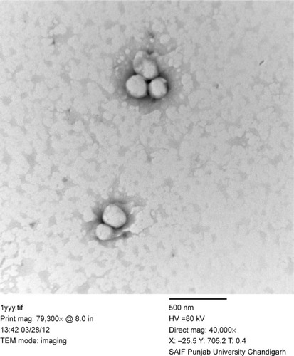 Figure 2 TEM micrographs of elastic liposomes (F7).Abbreviation: TEM, transmission electron microscopy.
