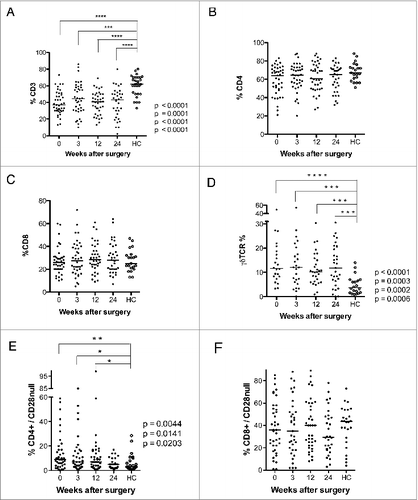 Figure 1. Levels of CD3+ T cells, γδ T cells, and CD4+CD28− T cells are lower after surgery in GBM patients than in healthy controls (HC). T-cell phenotype was analyzed in PBMCs from GBM patients before and 3, 12, and 24 weeks after surgery. (A) CD3+ T cells were less abundant than in controls at all-time points (B and C) Levels of CD4+ and CD8+ T cells did not differ. (D) Levels of γδ T cells were higher in GBM patients than controls at all-time points. (E) Levels of CD4+CD28− T cells were higher before and 3 and 12 weeks after surgery. (F) Levels of CD8+CD28− T cells did not differ.