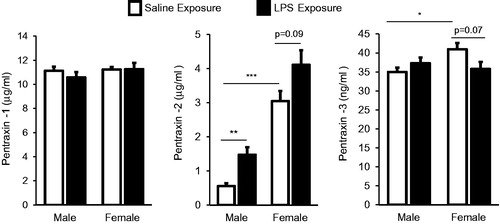 Figure 5. Systemic response of serum pentraxins 1, 2, 3 (acute phase proteins) in male and female mice treated with inhalant LPS. Bar graphs depict mean with standard error bars of serum pentraxin levels in treatment groups. Significant difference denoted by line as *p < 0.05, **p < 0.01, and ***p < 0.001. Nonsignificant p values shown when p > 0.05 between groups. N = 8 mice/group from two independent studies.