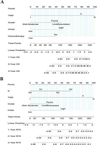 Figure 5 Prognostic nomograms with FPAR for predicting survival of AGC patient.(A). OS prediction model; (B). RFS prediction model).