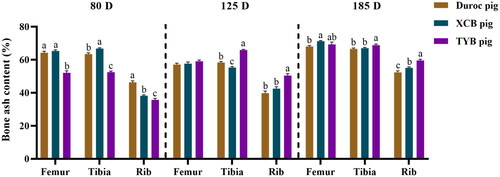 Figure 1. Differences in bone ash content among three breeds of growing-finishing pigs. Values are shown as means with their SEM. The replicates at 80, 125, and 185 D were six pigs per breed. Different small letters (a, b, and c) indicate significant differences among different pig breeds at the same day-old (p < 0.05). 80, 125, and 185 D, represent 80, 125, and 185 day-old, respectively.