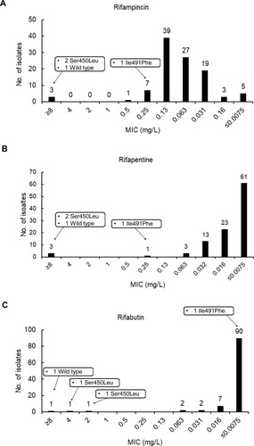 Figure 2 MICs of MTB isolates to rifampicin (A), rifapentine (B) and rifabutin (C).