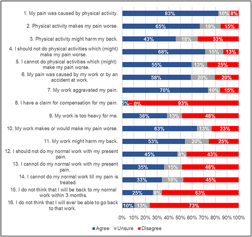 Figure 2 Item responses of the fear avoidance beliefs questionnaire (FABQ) (N = 40).