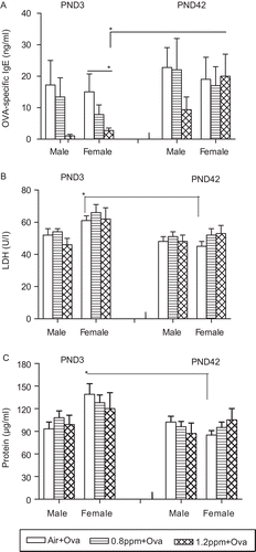 Figure 5.  Ovalbumin (OVA)-specific IgE and inflammatory responses in allergic offspring of dams exposed to O3 1 day after the last OVA challenge, (A) OVA-specific IgE in the serum was detected by enzyme-linked immunosorbent assay (ELISA). (B) Levels of lactate dehydrogenase (LDH) and (C) protein in bronchoalveolar lavage fluid (BALF) were assessed. All data are the mean (±SEM) of 3–7 offspring for each sex per group in three experiments (offspring numbers per sex in a group were n = 3–5 in Experiment I, n = 5–6 in Experiment II and n = 5–7 in Experiment III). *P < 0.05; significantly different from other groups.