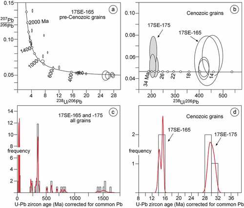 Figure 13. Detrital zircon ages from the Befoor Formation. (a-b) 238U/206Pb–207Pb/206Pb concordia diagrams (errors given at the 2σ level). (c-d) U–Pb age histogram and cumulative frequency plots.