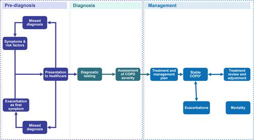 Figure 1 Overview of the Evidenced Care Pathway for patients with COPD from four countries.