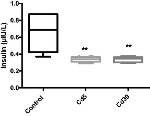 Figure 2. Effect of cadmium on serum insulin level. The insulin decreased significantly (**p < 0.01) in Cd5 and Cd30 groups compared with the control.