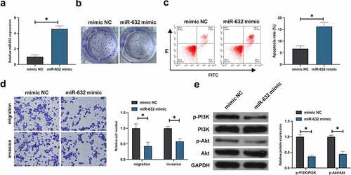 Figure 2. Elevation of miR-631 is conducive to repress the malignant phenotypes in NSCLC cells.