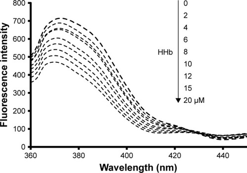 Figure 6 Fluorescence titration curve of CNPs (5 µM) with the various concentrations of HHb (0, 2, 4, 6, 8, 10, 12, 15, and 20 µM) in phosphate buffer at pH 7.4 and 10 mM at 289 K.