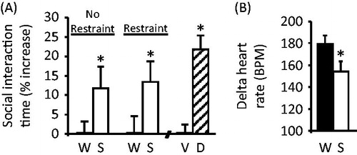 Figure 1. A history of limited sucrose intake reduces behavioral and physiological responses to stress. (A) In a social interaction test of behavioral anxiety, rats with a history of limited sucrose (S) drink spent a greater proportion of time interacting socially with a novel conspecific relative to water (W) controls, regardless of whether they received an acute restraint stress (Restraint) or not (No Restraint) immediately prior to the social interaction test (left). *p < 0.05 versus water controls. This increased social interaction was similar to that which occurs after treatment with the known anxiolytic diazepam (D) versus vehicle (V) (right). *p < 0.05 versus vehicle. (B) The tachycardic response to acute restraint was reduced by limited sucrose drink relative to water controls. *p < 0.05 versus water controls. Data are shown as mean ± SEM. Reproduced from (Ulrich-Lai et al., Citation2010).