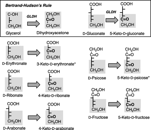 Fig. 5. Reaction versatility of GLDH to D-pentonate, D-fructose, D-psicose, and D-erythronate on the basis of the Bertrand–Hudson’s rule.