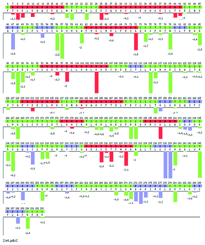 Figure 3. Plot of the sequence optimality score (sum of negative ΔΔGs) for each position in the PP2ACα sequence obtained with the PoPMuSiC (Prediction of Protein Mutant Stability Changes) server. The ΔΔG predicts the change in folding free energy upon mutation. ΔΔG values are given in kcal/mol. Red: Helices, blue: β-strands, and green: turns and coils. The predicted stability changes for each possible mutation, and the sequence optimality score computing the sum of negative ΔΔGs for each position in the sequence can be accessed at the PoPMuSiC server introducing the PDB ID: 2ie4.