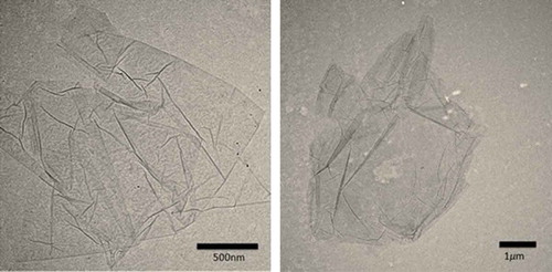 Figure 8. TEM images of graphene oxide (GO).