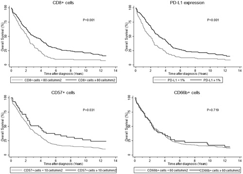 Figure 3. Favorable prognostic impact of high levels of intratumoral CD8+ T cells, CD57+ NK cells and PD-L1 expression. The Kaplan–Meier curves of overall survival in ‘high-grade serous adenocarcinomas’ (n = 283). p Values derived from log rank tests.