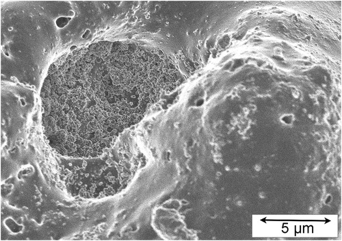 Figure 3. SEM micrograph (secondary electron image) of the free surface of a PEO coating produced on a Ti substrate, using a square-wave 50 Hz supply, anodic and cathodic voltages of 600 and 250 V and an electrolyte of 0.04 M sodium phosphate. The recess left of centre in this micrograph contains TiO2 (anatase) nanoparticles, about 50–100 nm in diameter, which originated as a suspension in the electrolyte. (Image courtesy of Dr Mike Coto, of Keronite International and the Materials Science Department in Cambridge University.)