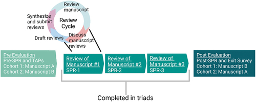 Figure 1. Activities completed as part of the peer reviewer training program. Each triad completed three journal manuscript reviews, going through the review cycle collaboratively for each manuscript. Each participant was asked to individually complete a Structured Peer Review (SPR) at the beginning of the program (Pre-SPR), for each of the three manuscripts they reviewed as a triad (SPR-1, −2 and −3), and at the end of the program (Post-SPR). Participants also completed Think-Aloud Protocols (TAPs) at the beginning of the program.