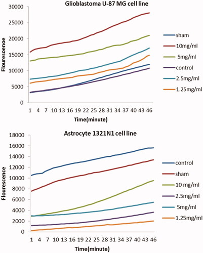 Figure 6. Generation of ROS in glioblastoma U-87MG (a) and astrocyte 1321N1 (b) cell lines treated with different concentrations of folic acid-ZnO NPs after 12 h using the oxidation sensitive dye DCFH-DA.