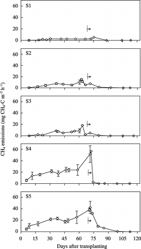 Figure 2  Seasonal variation in CH4 emission rates from paddy fields in Mikasa during growing season.