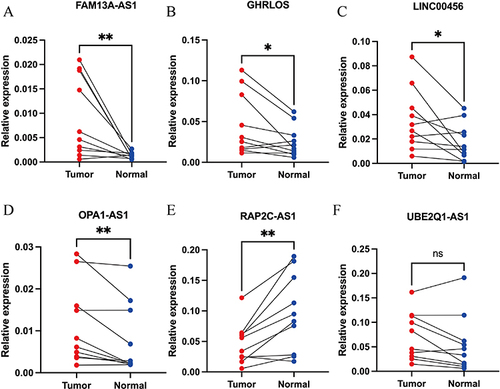 Figure 7 RT-qPCR results for relative mRNA expression in cuproptosis-related lncRNAs. Relative mRNA expression of (A) FAM13A-AS1, (B) GHRLOS, (C) LINC00456, (D) OPA1-AS1, (E) RAP2C-AS1, and (F) UBE2Q1-AS1. *P < 0.05, **P < 0.01.