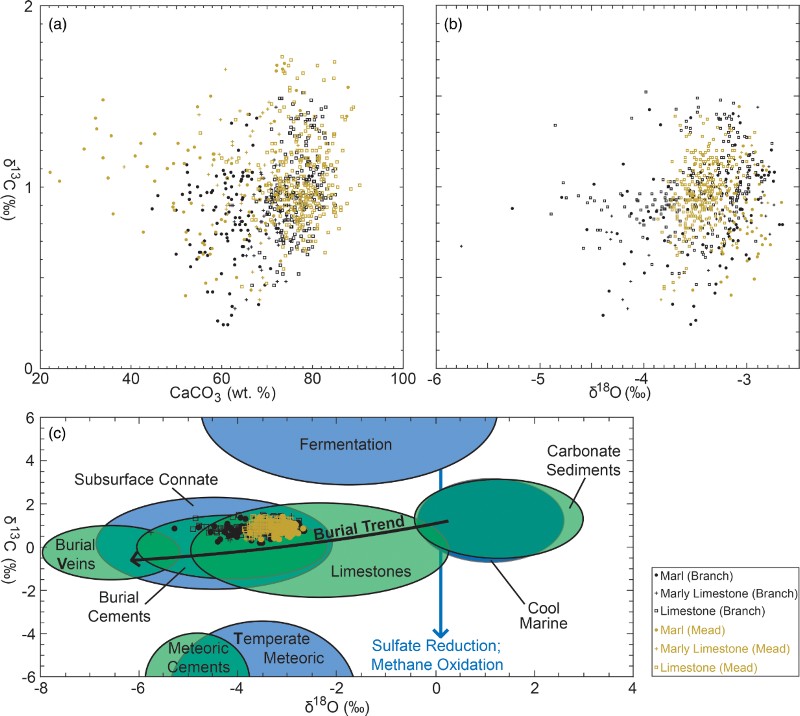 Figure 8 Bulk carbonate content and stable isotope compositions for all Lower Eocene samples examined to date at Branch and Mead streams plotted according to lithology. Note that there is no obvious relationship between δ13C and carbonate content, despite the clear signal in δ13C over time (Fig. 6). Note also the significant depletion in 18O relative to typical carbonate in unlithified marine sediment. The stable isotope compositions are consistent with significant local dissolution and reprecipitation of carbonate during burial. Fields of carbonate stable isotope composition are from Hudson (Citation1977) and Nelson and Campbell (1996).