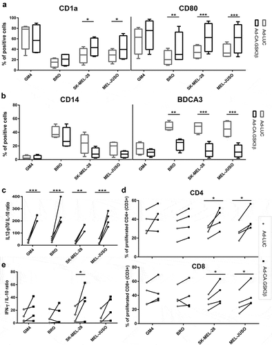 Figure 5. Constitutively active GSK3β renders MoDC differentiation refractory to the suppressive effects of melanoma-derived soluble factors. Phenotype, cytokine release and allogeneic T cell priming capacities are shown of MoDC differentiated in the presence of supernatants derived from the indicated melanoma cell lines and transduced with Ad-LUC or Ad-CA.GSK3β. (a) Percentages of CD1a and CD80 positive cells and (b) percentages of CD14 and BDCA3 positive cells; Ad-LUC (gray boxes) or Ad-CA.GSK3β (black boxes). Shown are boxplots with whiskers from 4 different experiments. (c) IL12-p70/IL-10 release ratios; Ad-LUC (gray circles), Ad-CA.GSK3β (black squares), n = 4. (d) Percentages of proliferated CD4+ and CD8+ allogeneic T cells; Ad-LUC (gray circles) or Ad-CA.GSK3β (black squares). Day-6 results of an MLR are shown (n = 4); ratio peripheral blood lymphocytes to DC was 10:1. (e) INF-γ/IL-10 release ratios by the T cells from the MLR assay; Ad-LUC (gray circles), Ad-CA.GSK3β (black squares), n = 4. Significance shown as * = P < .05, ** = P < .01 and *** P < .001.