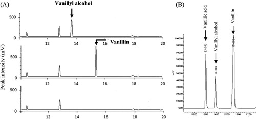 Figure 3. (A) HPLC chromatograms showing the bioconversion of vanillin to vanillyl alcohol. Samples were the control YPD (showed in the bottom) and the supernatant from the SLY-10 strain grown in the presence of 3 mmol L−1 vanillin for 0 h (showed in the middle) or 24 h (showed at the top) incubation period in YPD. (B) HPLC chromatograms detected at 280 nm for standard solutions of vanillic acid, vanillyl alcohol and vanillin. Note: The cells were cultured with shaking at 200 rpm at 30 °C.