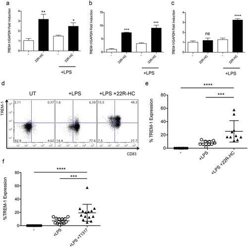 Figure 2. Kinetics of TREM-1 expression by DCs treated with LXR ligands. (a-c) Analysis of TREM-1 mRNA expression by immature and mature monocyte-derived DCs treated with 22R-HC for 6 (a), 16 (b) and 24 (c) hours. Results are representative of three experiments. *, P < 0.05; **, P < 0.01; ***, P < 0.001; ****, P < 0.0001; ns, not significant (Student’s t test). (d) A representative FACS analysis of TREM-1 expression by untreated, LPS-treated and LPS plus 22R-HC-treated DCs is shown. (e) Quantification of the flow cytometry analysis as in (d). Each symbol corresponds to one DC donor tested, and the line represents the mean value. ***, P < 0.001; ****, P < 0.0001 (analysis of variance ANOVA). (f) Quantification of FACS analysis of DCs treated for 24 hours with LPS and the synthetic LXR agonist T0901317 (T1317). Each symbol corresponds to one DC donor tested, and the line represents the mean value. ***, P < 0.001; ****, P < 0.0001 (analysis of variance ANOVA). In figures D and E, DCs were treated with LPS and LPS plus 22R-HC for 24 hours.