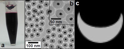Figure 5. Images of Au/SiO2/PEG particles. Images a–c are photographs of their colloid solution, transmittance electron microscopy (TEM) image, and a CT image of their colloid solution, respectively