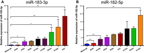 Figure 2 Relative miR-183-3p or miR-182-5p expression in NSCLC cell lines and BEAS-2B cells detected by RT-qPCR. (A) Relative miR-183-3p expression in various NSCLC cell lines and BEAS-2B cell lines. *Statistical significance P < 0.05. **Statistical significance P < 0.01. (B) Relative miR-182-5p expression in various NSCLC cell lines and BEAS-2B cell lines. **Statistical significance P < 0.01.