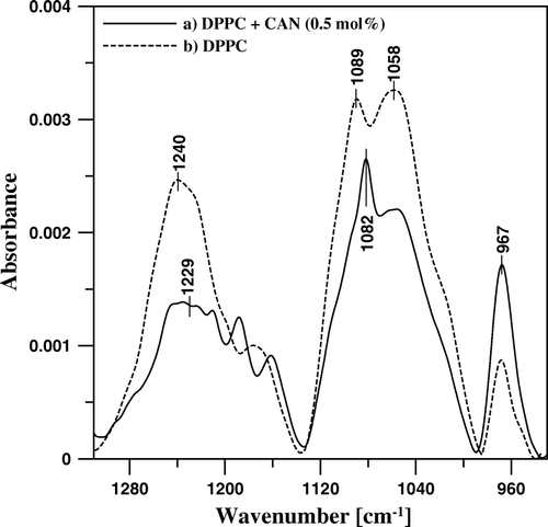 Figure 8.  FTIR absorption spectra, presented in the spectral region characteristic of polar lipid headgroups, of mono-component monomolecular layer of DPPC (dashed line) and two-component DPPC-canthaxanthin monomolecular layer containing 0.5 mol% of the carotenoid (solid line) deposited to Ge support at the surface pressure 25 mN/m.