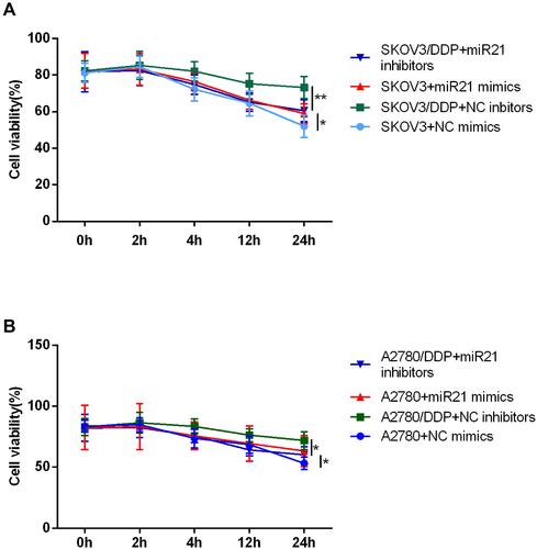 Figure 2 CCK8 assay detected cell proliferation of (A) SKOV3 and (B) A2780 at 0 h, 2 h, 4 h, 12 h, 24 h. *P<0.05; **P<0.01.