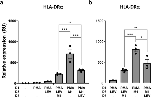 Figure 6. LEV treatment downregulates inflammation-induced expression of the M1 macrophage cell-surface marker, HLA-DRα. Human THP1 monocytes at day 1 post plating were pre-incubated with 10 nM PMA. PMA was maintained during the treatment period (A) or washed out after 48 h (b). On days 3 and 5, the cells were treated with LEVs (10 μg/ml) or 20 ng/ml of IFN-γ and 10 pg/ml of LPS for 48 h. On day 7, the cells were harvested and HLA-DRα mRNA expression was analysed by RT-qPCR. G6PD was used for normalization. Data are expressed as the mean fold change ± SEM of triplicate measurements and statistical significance was analysed by one-way ANOVA.