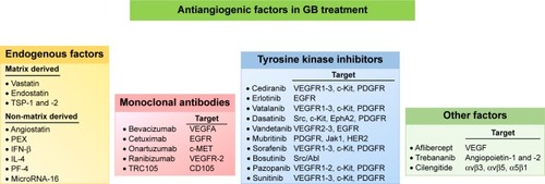 Figure 2 Antiangiogenic factors and GB.Note: Four categories of angiogenesis inhibitors are used in clinical trials for GB: endogenous factors, monoclonal antibodies, tyrosine kinase inhibitors, and other factors.Abbreviations: GB, glioblastoma; HER2, EGF-related receptor 2; IFN, interferon; MET, hepatocyte growth factor receptor; PEX, fragment of matrix metalloproteinase-2; PF-4, platelet factor-4; TSP, thrombospondin.