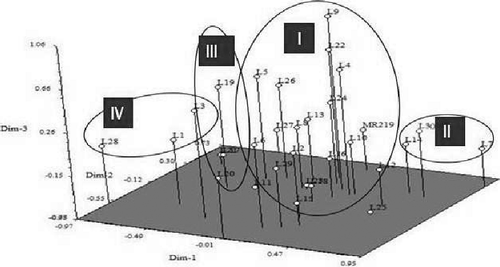 Figure 4. Three-dimensional plots of PCA indicating the 30 advance lines with MR219 based on 11 morphological characters.