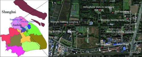 FIG. 1 The sampling site. (Color figure available online.)