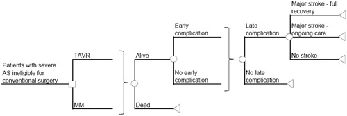 Figure 1.  Model decision tree structure. TAVR, transcatheter aortic valve replacement; MM, medical management; Early complication = 30 days post-surgery; Late complication = 1–3 years post-surgery; Complications = major access site/vascular complication (early only); valve thromboembolism; major paravalvular leak (early only); pacemaker implantation; endocarditis; reoperation; myocardial infarction; renal failure; arrhythmia/afibrillation (early only); balloon aortic valvuloplasty; hospital readmission; aortic valve replacement (MM only); death.