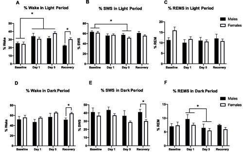 Figure 2. Percent wake, SWS, and REM in the light (A–C) and dark (D–F) periods before, during, and after repeated restraint. (A) Percent time spent awake during the light period in male and female rats at baseline, restraint, and recovery. Repeated restraint stress increases wake in both sexes, but these changes persist during the recovery period in females (but not males). (B) Percent time spent in slow wave sleep (SWS) during the light period in male and female rats at baseline, restraint, and recovery. 5 days of repeated restraint stress decreases SWS in both sexes. (C) Percent time spent in REMS during the light period in male and female rats at baseline, restraint, and recovery. Repeated restraint stress does not significantly affect percent time in REMS. (D) Percent time spent awake during the dark period in male and female rats at baseline, restraint, and recovery. Females demonstrated more wake than males after restraint. (E) Percent time spent in slow wave sleep (SWS) during the light period in male and female rats at baseline, restraint, and recovery. Females exhibited less SWS than males on post-restraint stress days. (F) Percent time spent in REMS during the light period in male and female rats at baseline, restraint, and recovery. 5 days of restraint stress decreases percent REM compared to 1 day of restraint stress in both sexes. *p < 0.05.