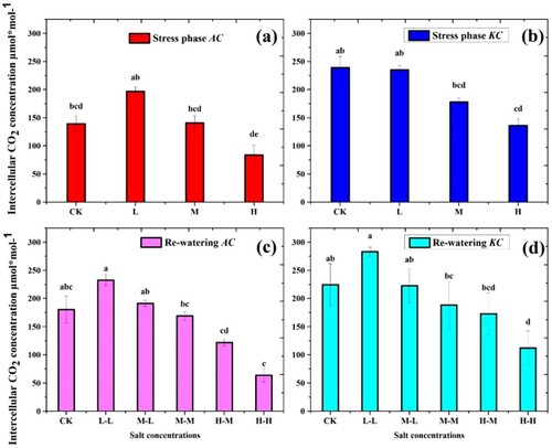 Figure 6. Effect of salt stress and RWP of Intercellular CO2 on A. corniculatum specie (a, c) and K. candel (b, d), the small letter indicates significant difference at (p < 0.05) using Duncan’s multiple range tests.