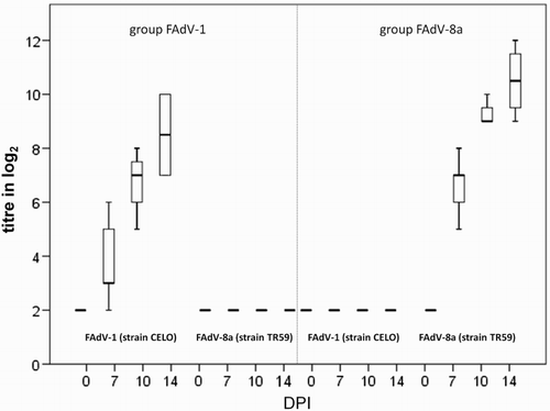 Figure 5. Box plot presentation of VNT results from in vivo study. Titres (log2) of FAdV-1- and FAdV-8a-specific antibodies from SPF pullets orally infected with FAdV-1 or FAdV-8a. Titres ≤ 3 log2 are considered negative.