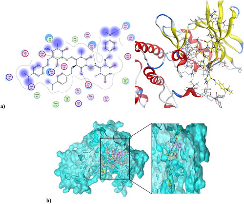 Figure 10. (a) Nano compound 4NPs at the active site of CDK1 (PDB ID: 6GU6). (b) The alignment of 4NPs and dinaciclib at the active site of CDK1 (PDB ID: 6GU6).