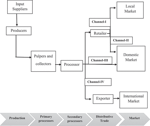 Figure 7. Marketing channel of coffee value chain in study area.