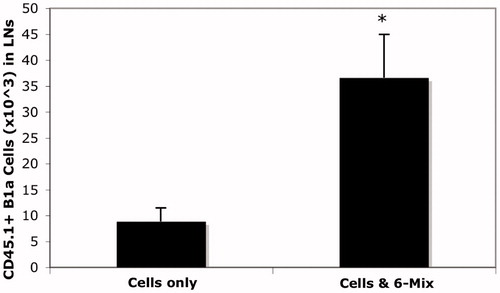 Figure 8. 6-Mix asbestos increased B1a B-cell trafficking to mesenteric lymph nodes. Peritoneal lymphocytes from CD45.1 transgenic mice were adopted into wild-type mice by IP injection with or without 100 μg 6-Mix asbestos. Mesenteric lymph nodes were then harvested and analyzed for expression of CD45.1 (PE), IgM (PerCP-Cy5.5) and CD5 (APC) gating on lymphocytes: the percent positive for all three markers was multiplied by total cell number to get number of trafficked cells. n = 8/group; values shown are mean ± SEM. *p < 0.05 compared to the saline group.