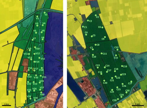 Figure 1. Schematic maps of the two study coastal pine forest reserves near Ravenna, NE Italy (left: PsV, right: PdC) and locations of the sampling sites (green dots, V1–30 in PsV, C1–30 in PdC). Landscape indicated by colors: forest (dark green), open habitats (light green), arable land (yellow), buildings (red), reed (light blue) and open water (dark blue). Modified using QGIS based on satellite images extracted from Google Maps.